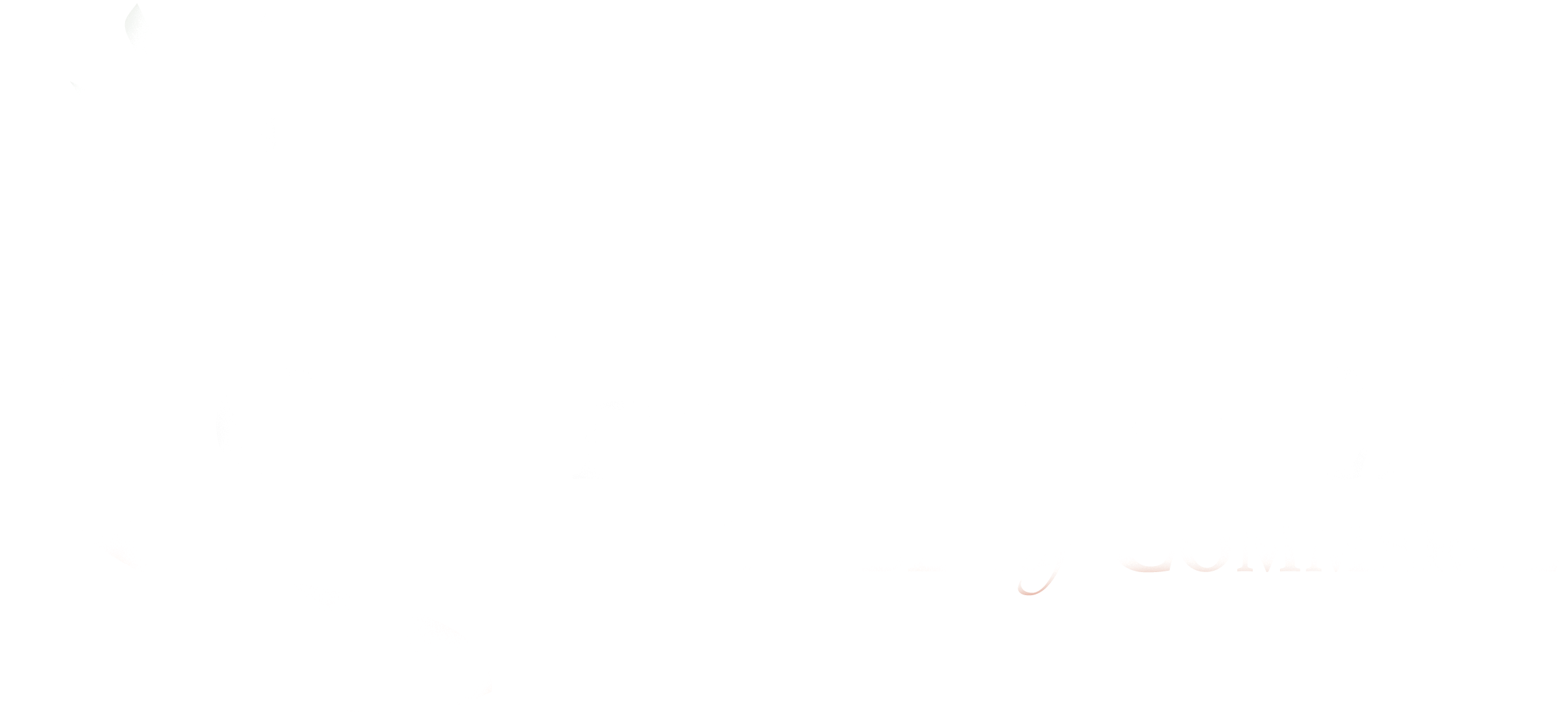 Chamber Full Logo White
